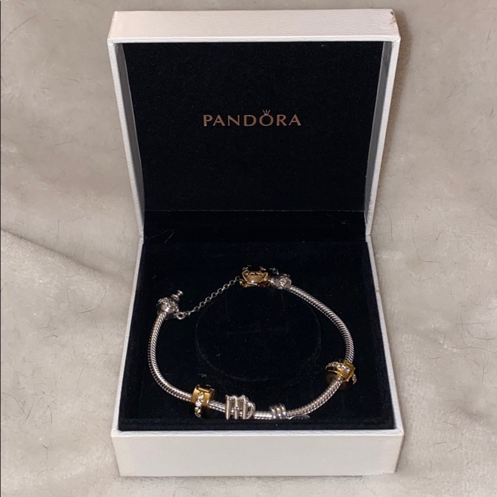 Pandora charm bracelet